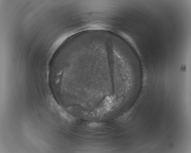 X0000111011419200907101305