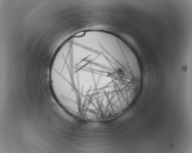 X0000111011420200907101305
