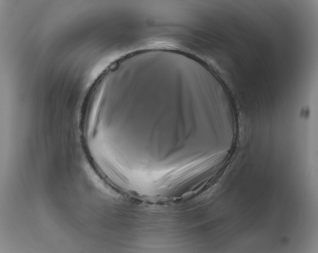 X0000111011422200907101305