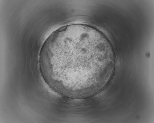 X0000111011423200907101305