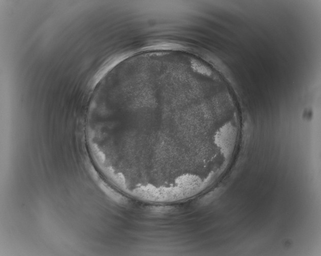 X0000111011425200907101305