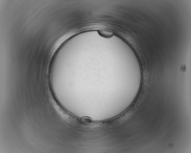 X0000111011426200907101305