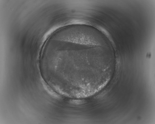 X0000111011427200907101305