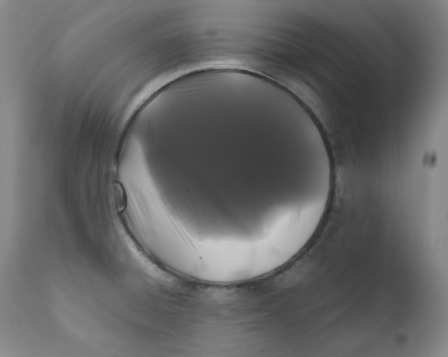 X0000111011428200907101305