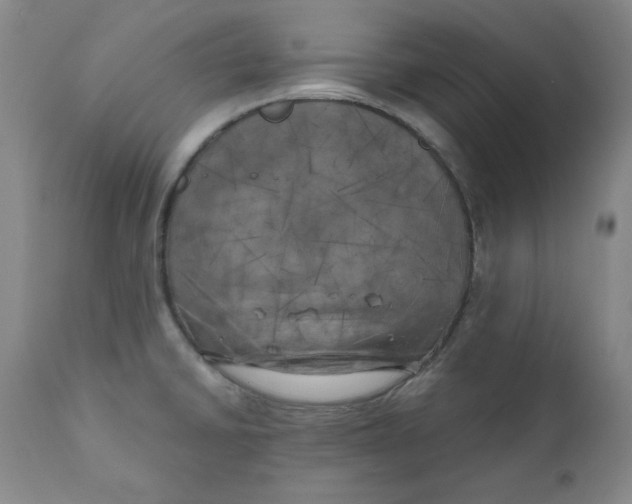 X0000111011430200907101305