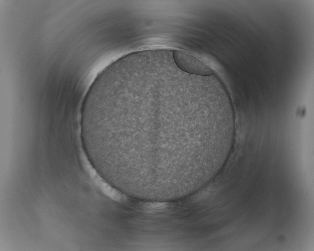 X0000111011431200907101305