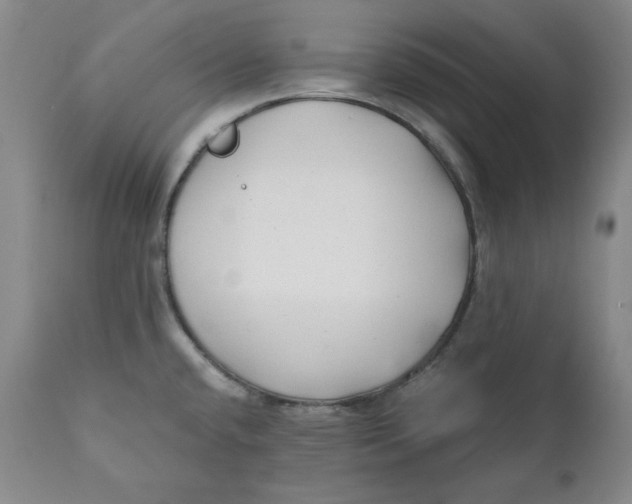 X0000111011432200907101305