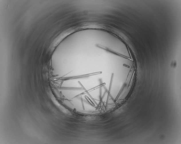 X0000111011433200907101305