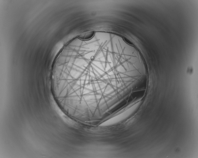 X0000111011434200907101305