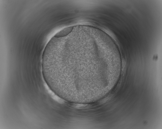 X0000111011439200907101305