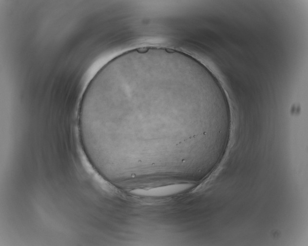 X0000111011440200907101305
