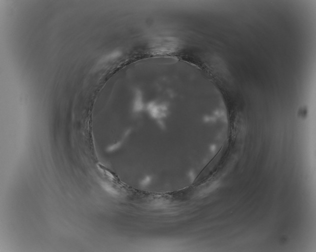 X0000111011441200907101304