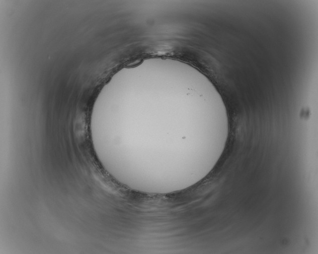 X0000111011442200907101304
