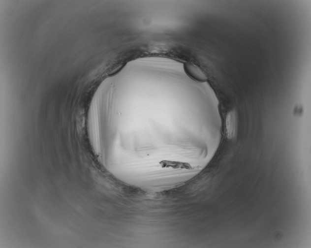 X0000111011443200907101304