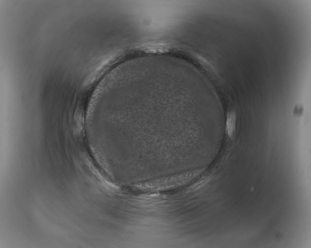 X0000111011444200907101304