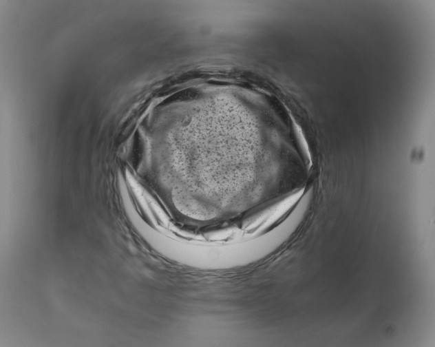 X0000111011445200907101304