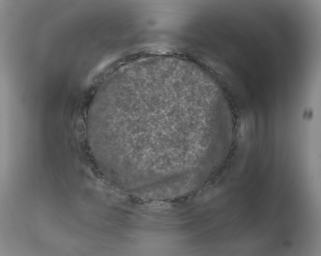 X0000111011446200907101304