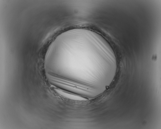 X0000111011447200907101304