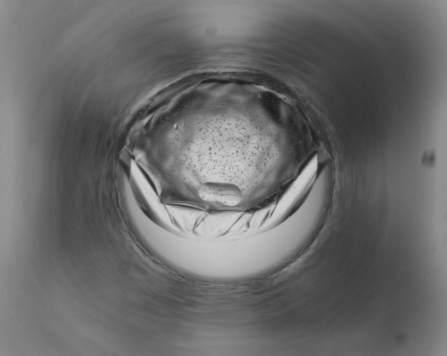 X0000111011449200907101304