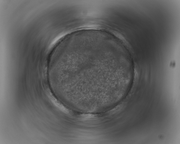 X0000111011450200907101304