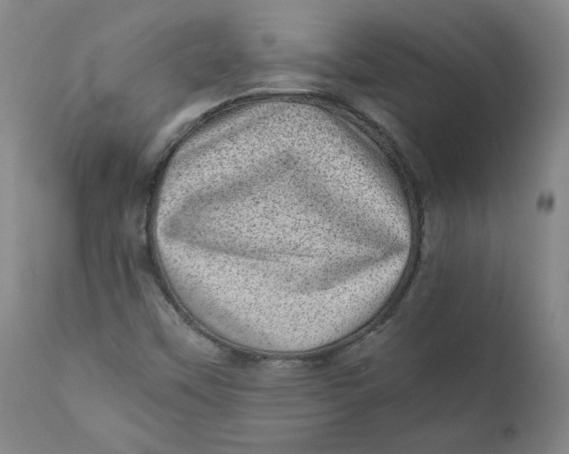X0000111011451200907101304