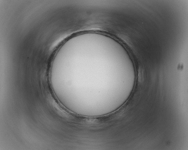 X0000111011452200907101304