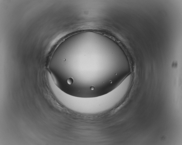 X0000111011453200907101304