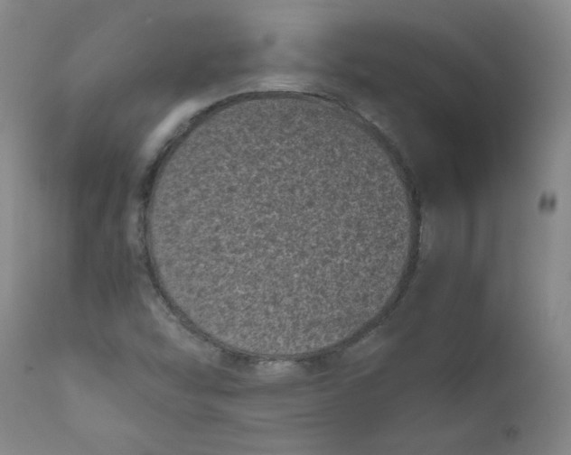 X0000111011454200907101304