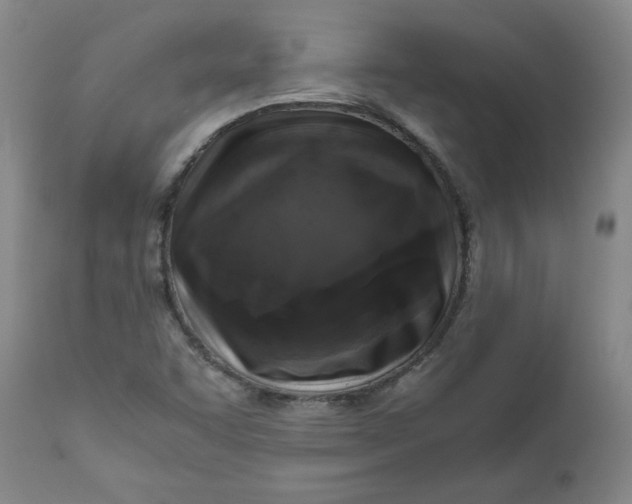 X0000111011455200907101304