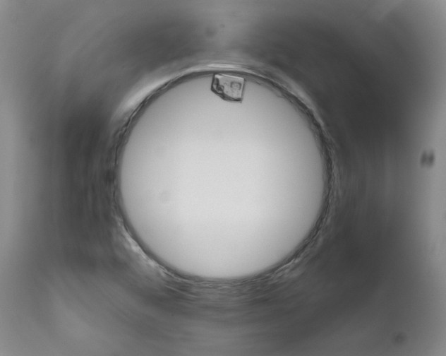 X0000111011456200907101304