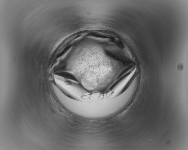 X0000111011457200907101304