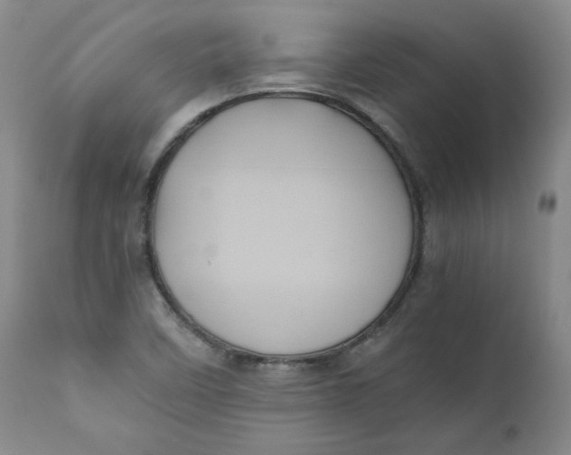 X0000111011458200907101304