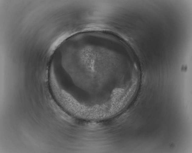 X0000111011459200907101304