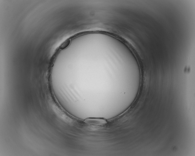X0000111011460200907101304