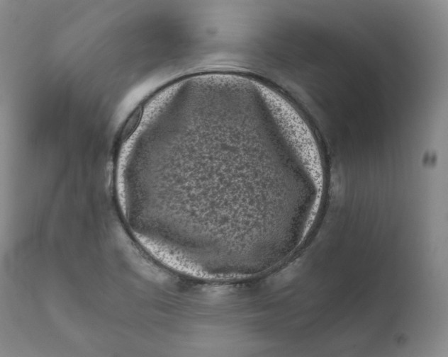 X0000111011461200907101304
