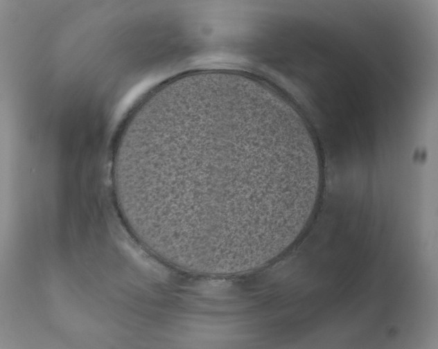 X0000111011462200907101304