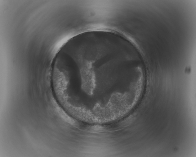 X0000111011463200907101304