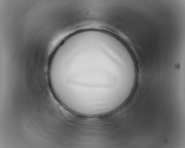 X0000111011464200907101304