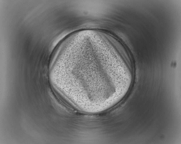 X0000111011465200907101304