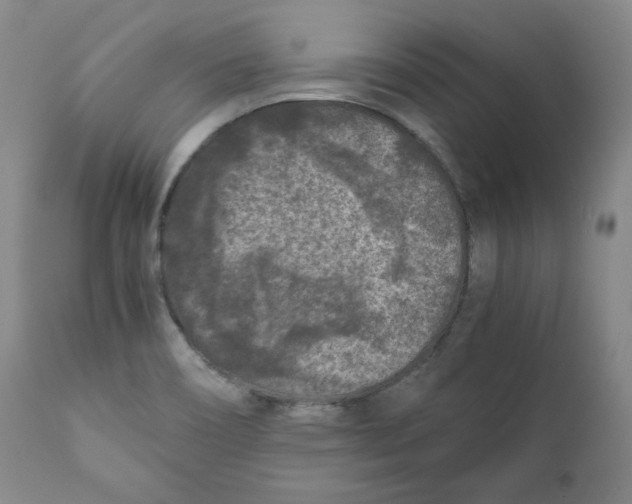 X0000111011466200907101304
