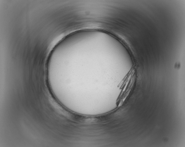 X0000111011467200907101304