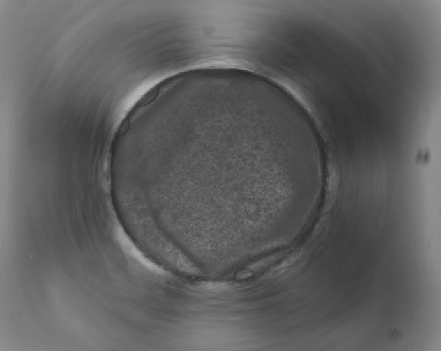 X0000111011468200907101304