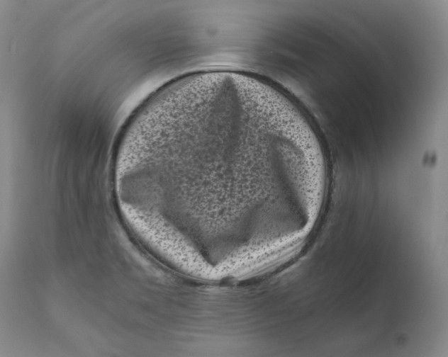 X0000111011469200907101304