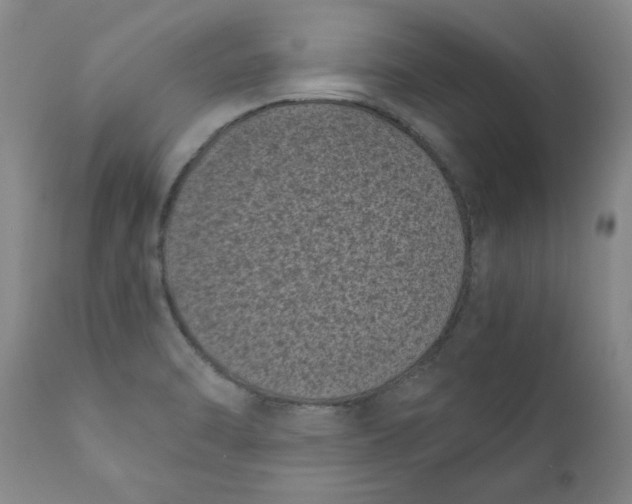 X0000111011470200907101304