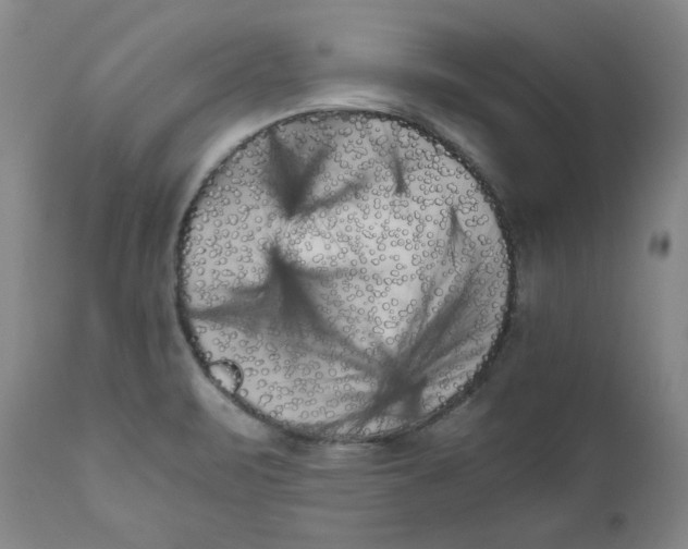 X0000111011471200907101304