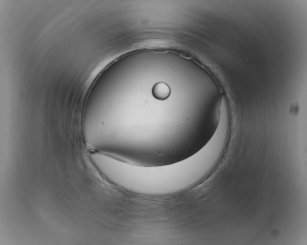 X0000111011473200907101304