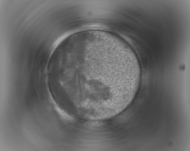 X0000111011474200907101304