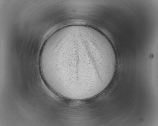 X0000111011475200907101304