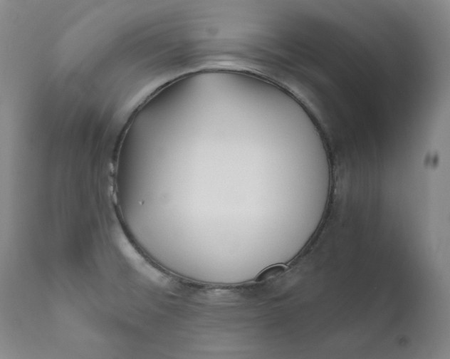 X0000111011476200907101304