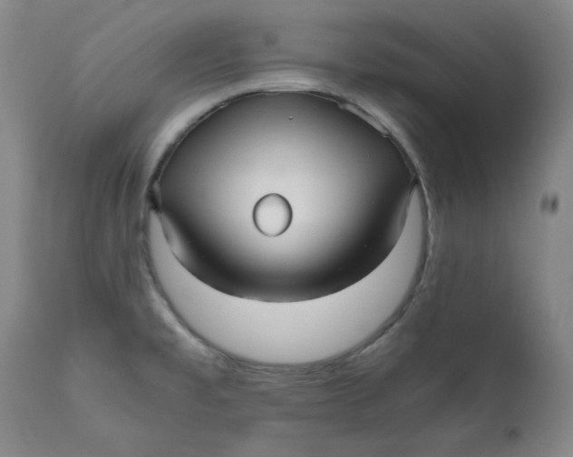 X0000111011477200907101304